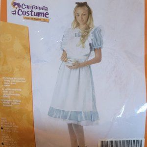 Alice in Wonderland costume
